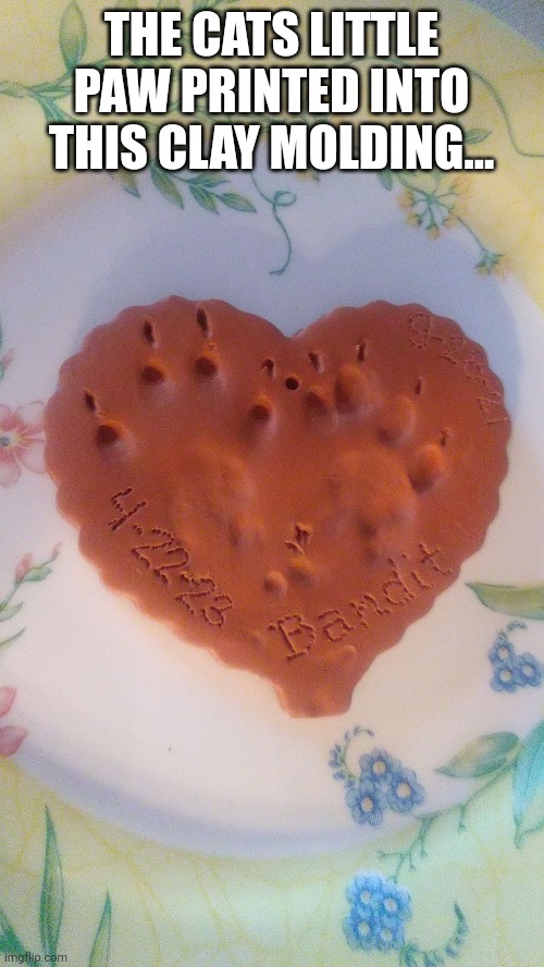 Rest in peace My cat.. | THE CATS LITTLE PAW PRINTED INTO THIS CLAY MOLDING... | made w/ Imgflip meme maker