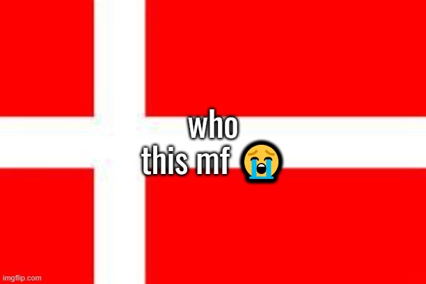 danish flag | who this mf 😭 | image tagged in danish flag | made w/ Imgflip meme maker