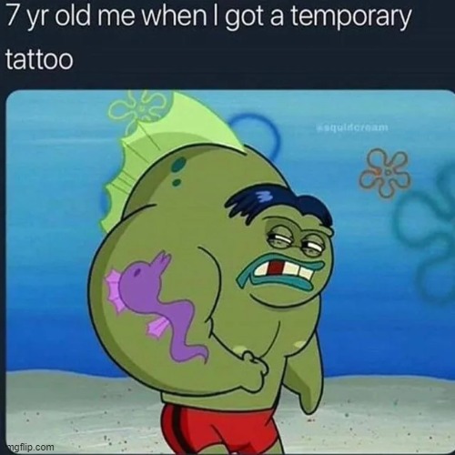 image tagged in memes | made w/ Imgflip meme maker