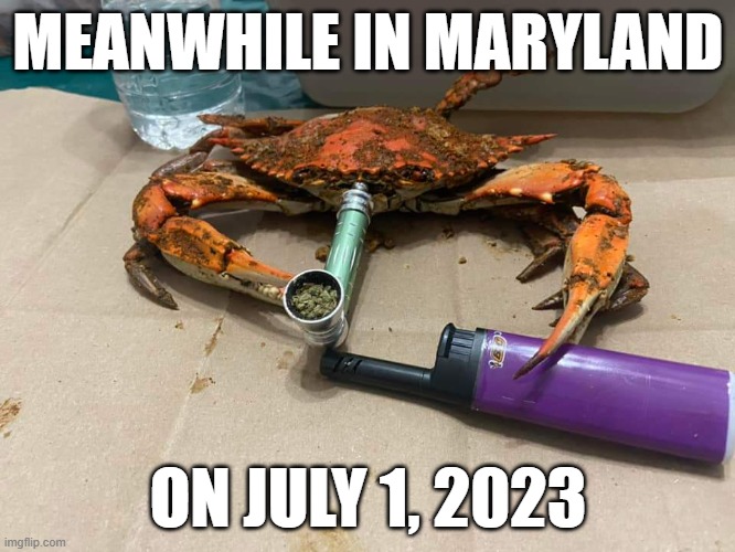 Maryland Crab | MEANWHILE IN MARYLAND; ON JULY 1, 2023 | image tagged in maryland,crab | made w/ Imgflip meme maker