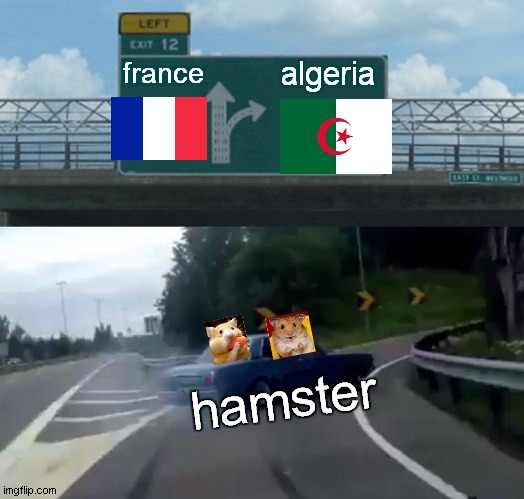 car hamster like live algeria car hamster not like live france | france; algeria; hamster | image tagged in memes,left exit 12 off ramp | made w/ Imgflip meme maker
