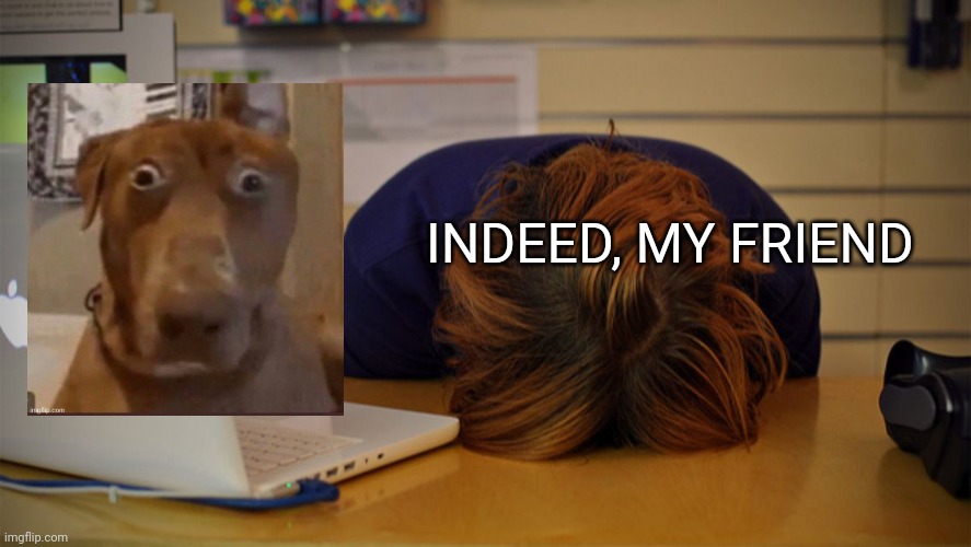 Head desk  | INDEED, MY FRIEND | image tagged in head desk | made w/ Imgflip meme maker