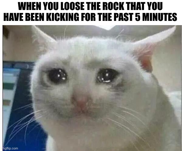 A sad moment in life | WHEN YOU LOOSE THE ROCK THAT YOU HAVE BEEN KICKING FOR THE PAST 5 MINUTES | image tagged in crying cat | made w/ Imgflip meme maker