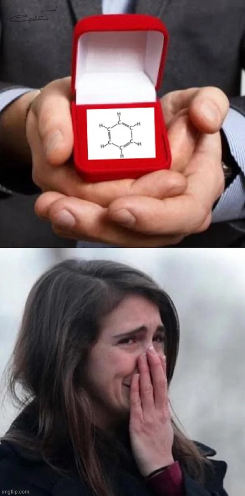 will you marry me? | image tagged in science,memes,funny | made w/ Imgflip meme maker