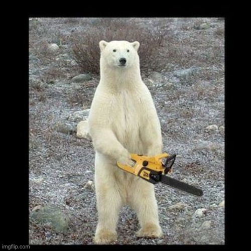 he is coming for you | image tagged in chainsaw bear | made w/ Imgflip meme maker