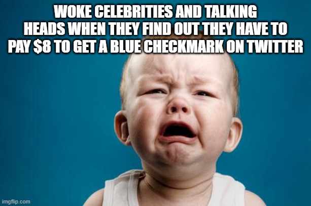 Checkmark Whining | WOKE CELEBRITIES AND TALKING HEADS WHEN THEY FIND OUT THEY HAVE TO PAY $8 TO GET A BLUE CHECKMARK ON TWITTER | image tagged in baby crying,twitter,whining,complaining | made w/ Imgflip meme maker