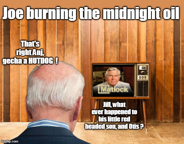 Pierrie : "Joe is a night owl, and get's his best work done late at night" | Joe burning the midnight oil; That's right Anj, gecha a HUTDOG  ! Jill, what ever happened to his little red headed son, and Otis ? | image tagged in idiot in chief | made w/ Imgflip meme maker