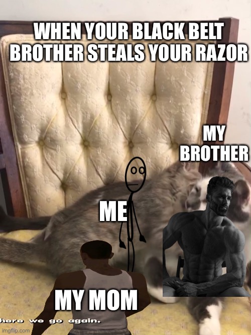 Big bro fights be like | WHEN YOUR BLACK BELT BROTHER STEALS YOUR RAZOR; MY BROTHER; ME; MY MOM | image tagged in cat gets got by older brother | made w/ Imgflip meme maker
