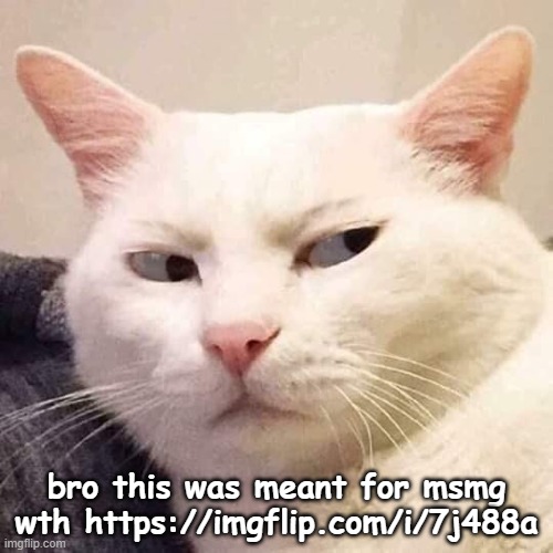 I'm watching you | bro this was meant for msmg wth https://imgflip.com/i/7j488a | image tagged in i'm watching you | made w/ Imgflip meme maker