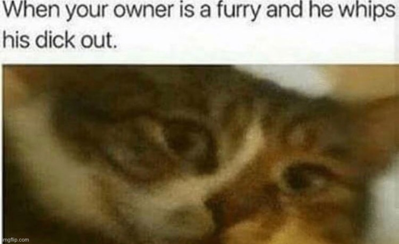 Classic meme | made w/ Imgflip meme maker