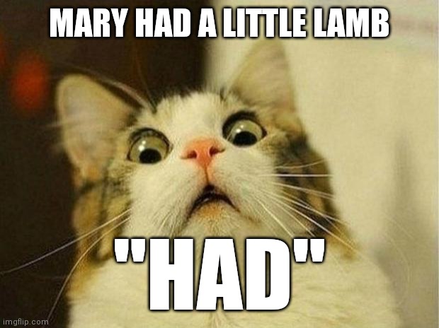 H a d | MARY HAD A LITTLE LAMB; "HAD" | image tagged in memes,scared cat,lamb | made w/ Imgflip meme maker