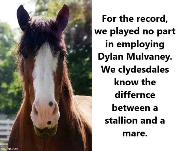 image tagged in clydesdales,bud light,dylan mulvaney | made w/ Imgflip meme maker