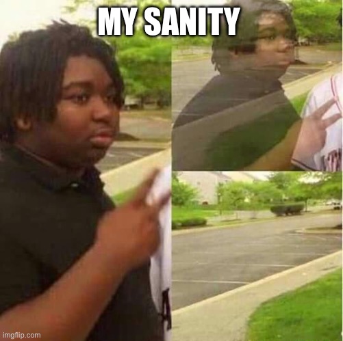 ? momebtt | MY SANITY | image tagged in disappearing,funny,memes,bruh moment | made w/ Imgflip meme maker
