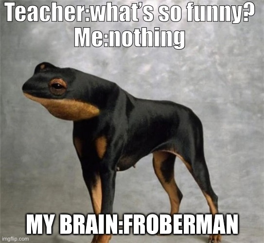 Happens all the time | Teacher:what’s so funny?
Me:nothing; MY BRAIN:FROBERMAN | image tagged in funny | made w/ Imgflip meme maker