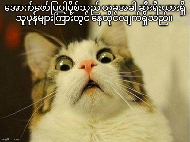 vertaal dit | အောက်ဖော်ပြပါပို့စ်သည် ယခုအခါ ဆီးရီးယားရှိ သူပုန်များကြားတွင် နေထိုင်လျက်ရှိသည်။ | made w/ Imgflip meme maker