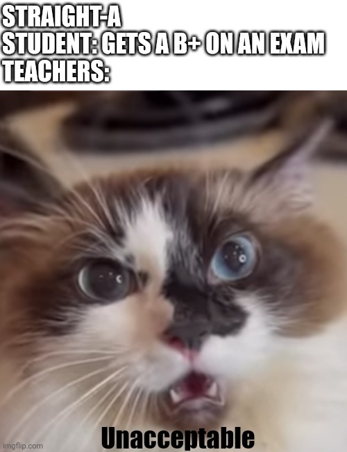 WHAAAAAT?! | STRAIGHT-A STUDENT: GETS A B+ ON AN EXAM 
TEACHERS:; Unacceptable | image tagged in whaaaaat | made w/ Imgflip meme maker