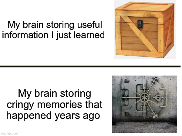 Why does my brain do this? | My brain storing useful information I just learned; My brain storing cringy memories that happened years ago | image tagged in memes,funny,relatable memes,so true memes,true story | made w/ Imgflip meme maker