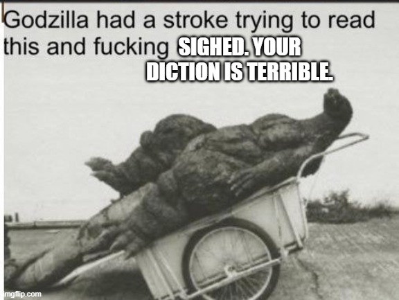 Godzilla | SIGHED. YOUR DICTION IS TERRIBLE. | image tagged in godzilla | made w/ Imgflip meme maker