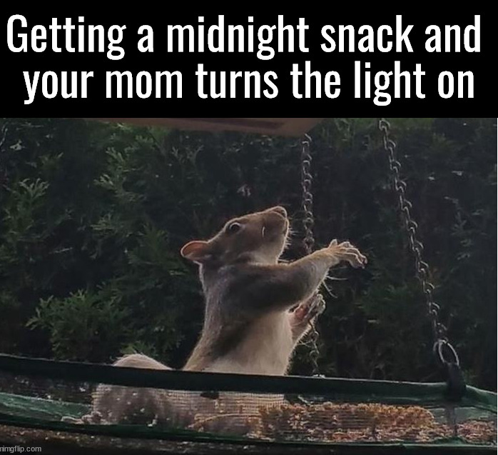 Getting a midnight snack and 
your mom turns the light on | made w/ Imgflip meme maker