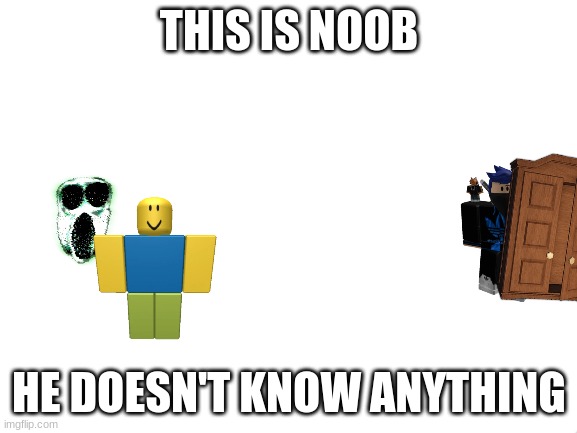 Blank White Template | THIS IS NOOB; HE DOESN'T KNOW ANYTHING | image tagged in blank white template,doors,ambush | made w/ Imgflip meme maker