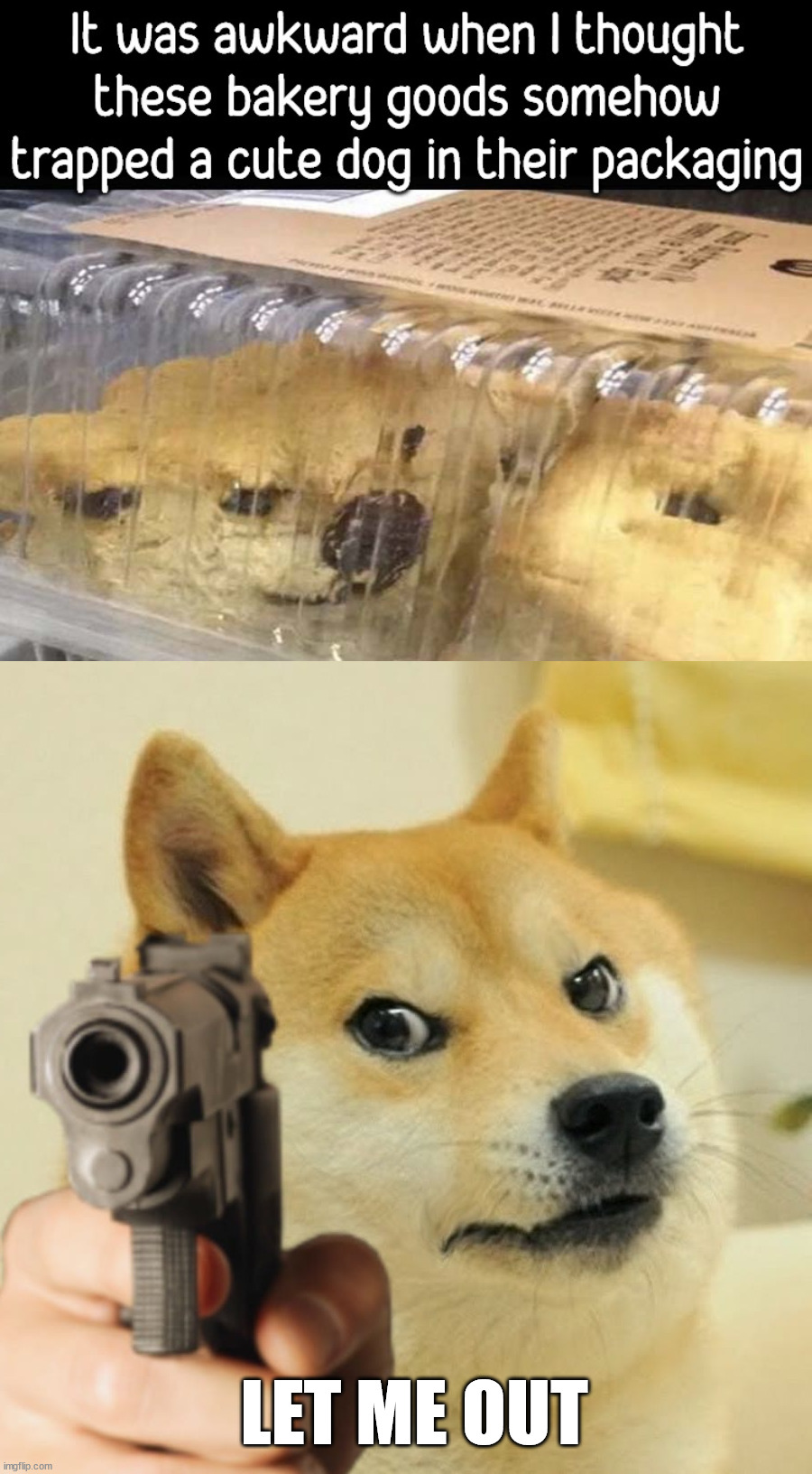 LET ME OUT | image tagged in doge holding a gun,cookies,ha ha tags go brr | made w/ Imgflip meme maker
