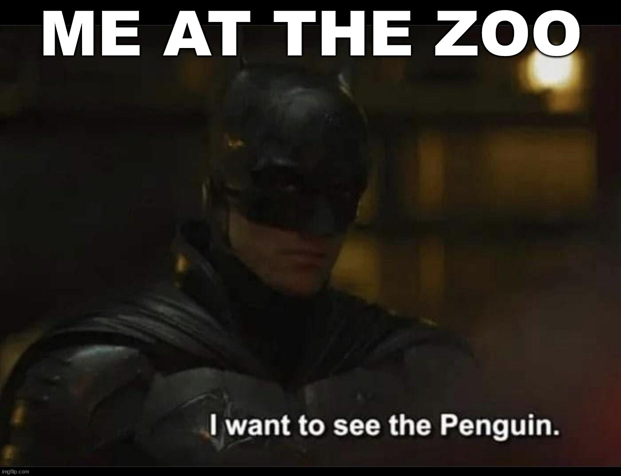 ME AT THE ZOO | made w/ Imgflip meme maker