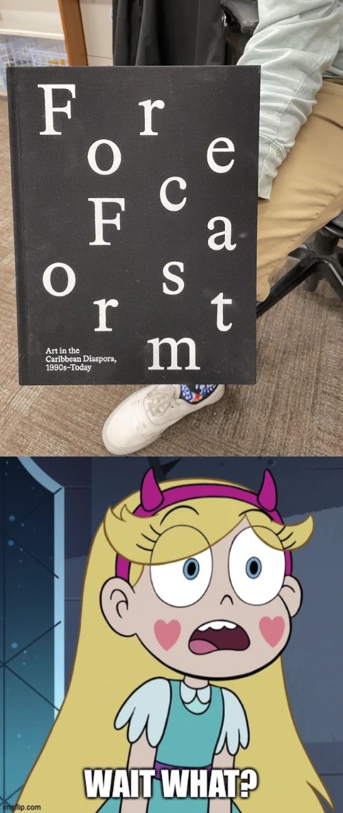 image tagged in star butterfly wait what,you had one job,star vs the forces of evil,memes | made w/ Imgflip meme maker