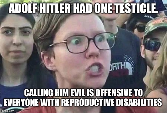 Triggered Liberal | ADOLF HITLER HAD ONE TESTICLE. CALLING HIM EVIL IS OFFENSIVE TO EVERYONE WITH REPRODUCTIVE DISABILITIES | image tagged in triggered liberal | made w/ Imgflip meme maker