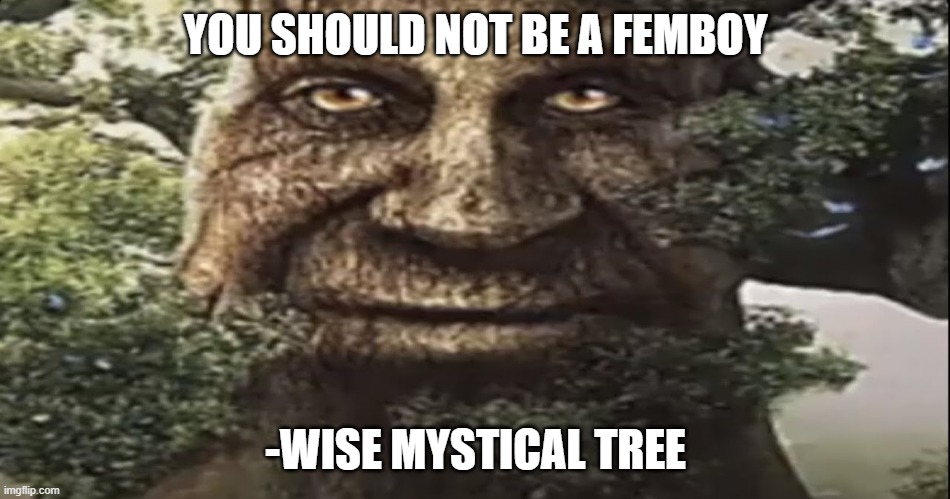 Wise mystical tree | YOU SHOULD NOT BE A FEMBOY -WISE MYSTICAL TREE | image tagged in wise mystical tree | made w/ Imgflip meme maker