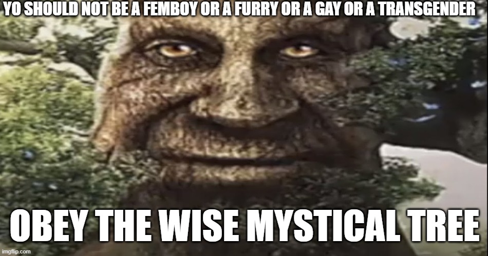 Wise mystical tree | YO SHOULD NOT BE A FEMBOY OR A FURRY OR A GAY OR A TRANSGENDER; OBEY THE WISE MYSTICAL TREE | image tagged in wise mystical tree | made w/ Imgflip meme maker
