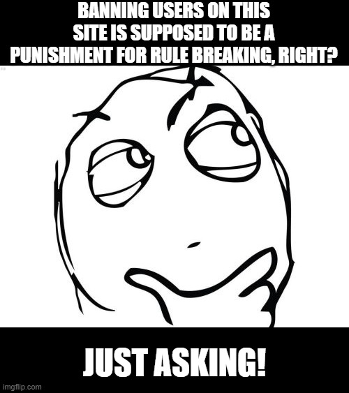 Might Need a Clarification Here | BANNING USERS ON THIS SITE IS SUPPOSED TO BE A PUNISHMENT FOR RULE BREAKING, RIGHT? JUST ASKING! | image tagged in memes,question rage face | made w/ Imgflip meme maker