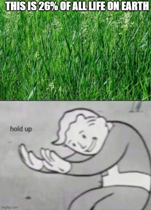 Grass is... ...what? | THIS IS 26% OF ALL LIFE ON EARTH | image tagged in fallout hold up | made w/ Imgflip meme maker