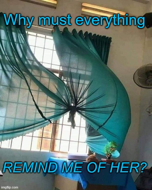 everything reminds me of her | Why must everything; REMIND ME OF HER? | image tagged in lol | made w/ Imgflip meme maker