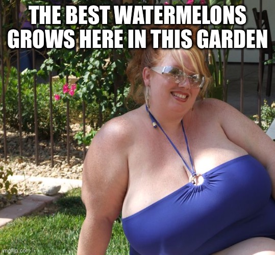 Bbw | THE BEST WATERMELONS GROWS HERE IN THIS GARDEN | image tagged in bbw,big boobs | made w/ Imgflip meme maker