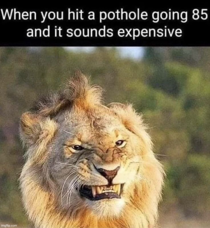 image tagged in memes,funny | made w/ Imgflip meme maker