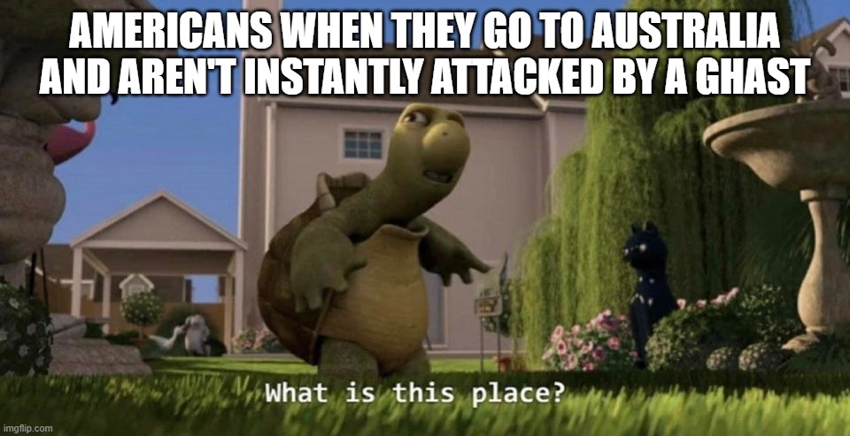What is this place | AMERICANS WHEN THEY GO TO AUSTRALIA AND AREN'T INSTANTLY ATTACKED BY A GHAST | image tagged in what is this place | made w/ Imgflip meme maker