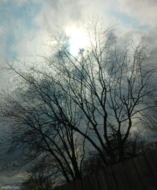 Sky at Tim Hortons | made w/ Imgflip meme maker