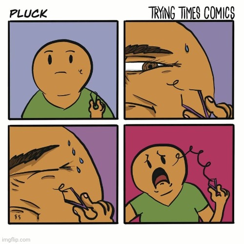 Longer than expected | image tagged in hair,pluck,comics,comics/cartoons,face,comic | made w/ Imgflip meme maker