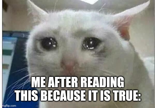 crying cat | ME AFTER READING THIS BECAUSE IT IS TRUE: | image tagged in crying cat | made w/ Imgflip meme maker