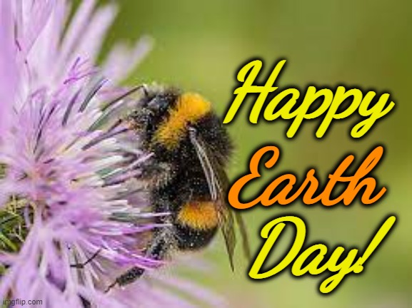 Happy Earth Day | Happy; Earth; Day! | image tagged in earth day,bee,thistle | made w/ Imgflip meme maker