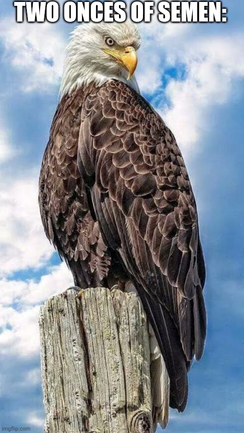 rember | TWO ONCES OF SEMEN: | image tagged in rember | made w/ Imgflip meme maker