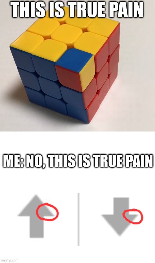 imgflip why | THIS IS TRUE PAIN; ME: NO, THIS IS TRUE PAIN | image tagged in true pain,imgflip | made w/ Imgflip meme maker