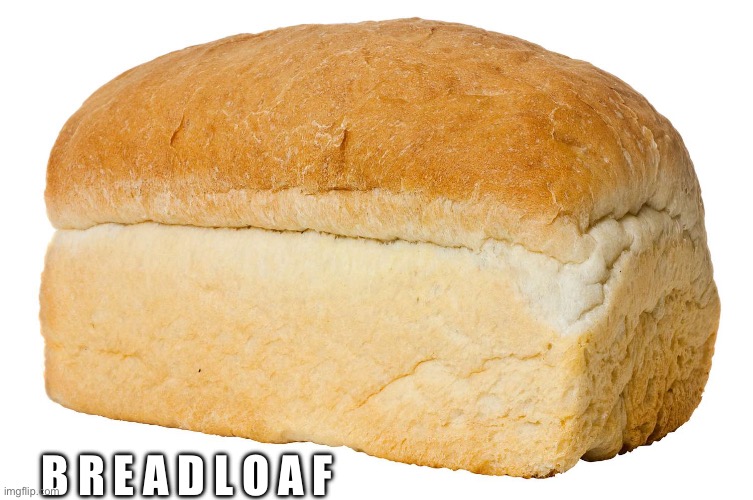 To prove people will upvote anything: | B R E A D L O A F | image tagged in bread,funny,food,haha,haha money printer go brrr,idk anymore | made w/ Imgflip meme maker
