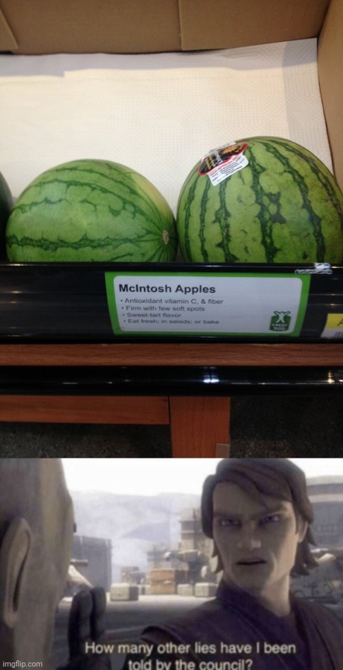Watermelons | image tagged in how many other lies have i been told by the council,mcintosh,apples,watermelons,you had one job,memes | made w/ Imgflip meme maker