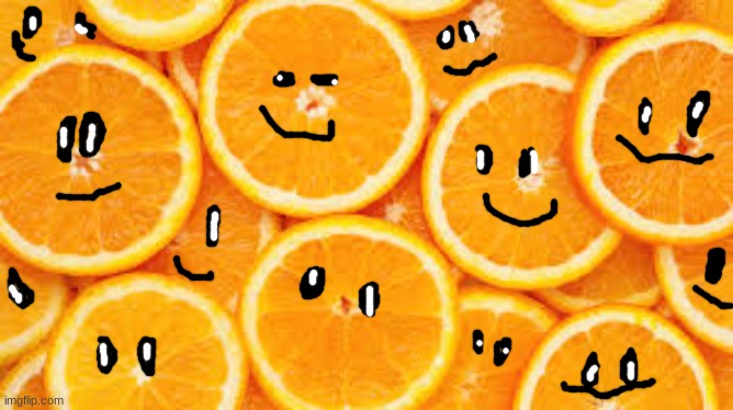 orange slices | image tagged in orange slices | made w/ Imgflip meme maker
