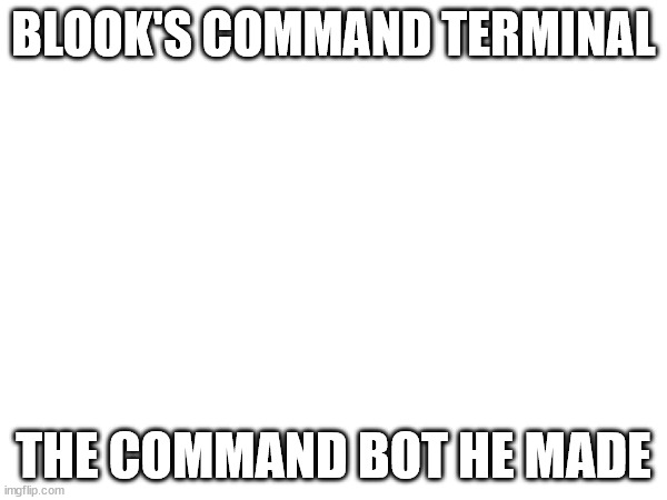 based on my character.ai bot.mp3 | BLOOK'S COMMAND TERMINAL; THE COMMAND BOT HE MADE | made w/ Imgflip meme maker