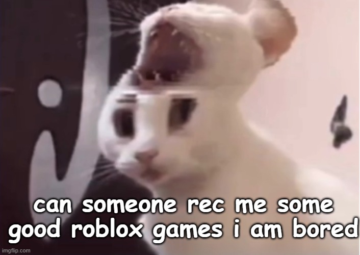 Shocked cat | can someone rec me some good roblox games i am bored | image tagged in shocked cat | made w/ Imgflip meme maker