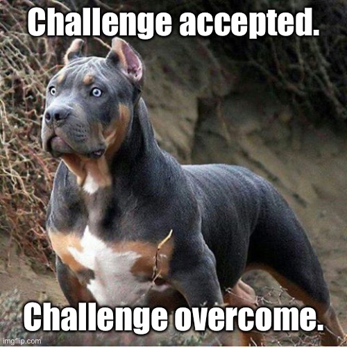 big dog | Challenge accepted. Challenge overcome. | image tagged in big dog | made w/ Imgflip meme maker