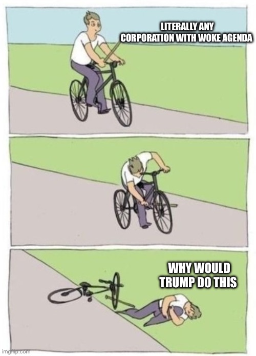 Stick in the spokes | LITERALLY ANY CORPORATION WITH WOKE AGENDA; WHY WOULD TRUMP DO THIS | image tagged in stick in the spokes | made w/ Imgflip meme maker