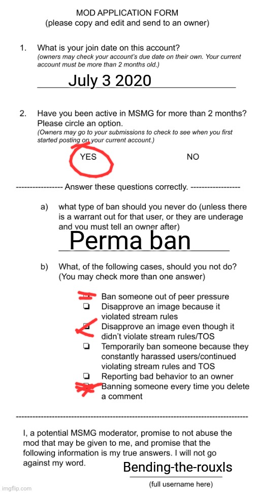 E | July 3 2020; Perma ban; Bending-the-rouxls | image tagged in mod application form beta | made w/ Imgflip meme maker